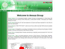 Tablet Screenshot of amsua.com